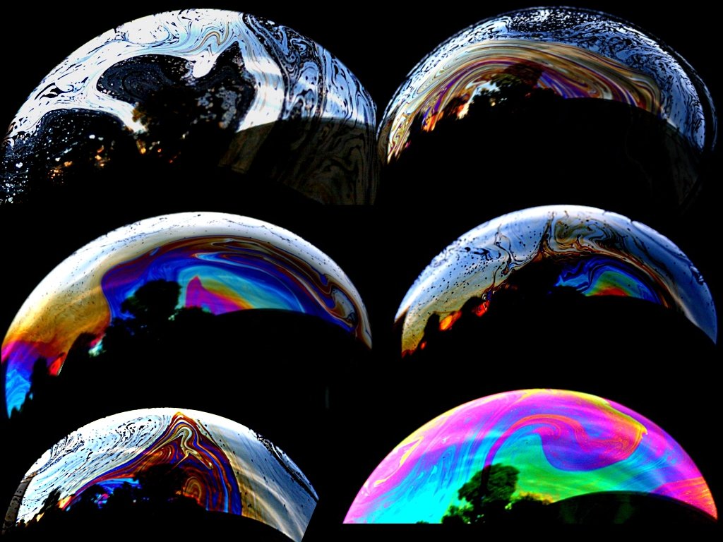 Soap bubble in sunlight