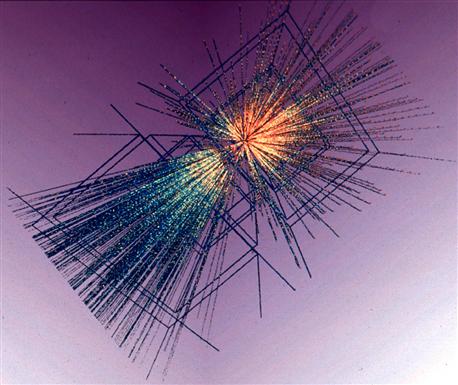 A circular detector cross-section showing several hundred fine tracks radiating outward from a single point at the centre, each one the path of a particle produced in a lead-ion collision.