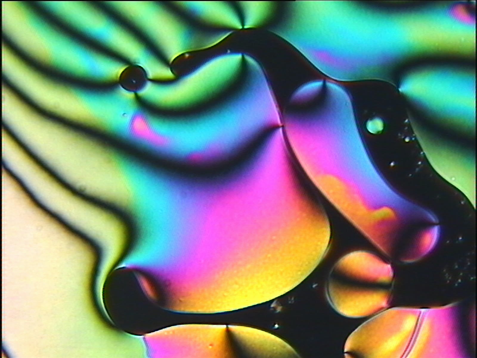 A polarised-light micrograph of a nematic liquid crystal, showing smooth fields of blue, orange and violet meeting at dark brush-shaped defects that radiate from point centres.